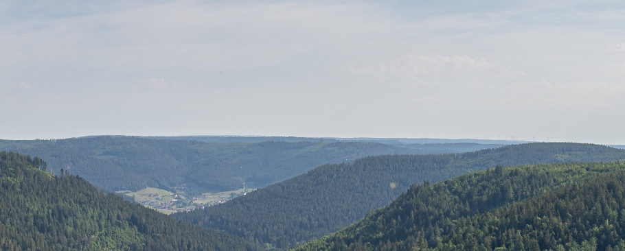 Forests are strategic assets for Europe